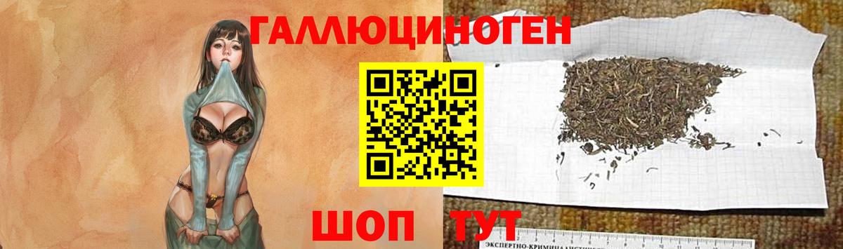 Пушкино  Псилоцибиновые грибы мухоморы  Вход с VPN 